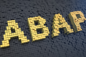 SAP ABAP - Dictionary und Datenbanken Schulung