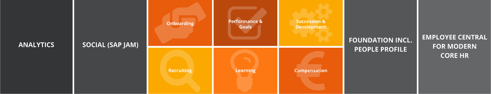 Successfactors Module