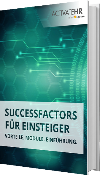 E-Book SuccessFactors fuer Einsteiger