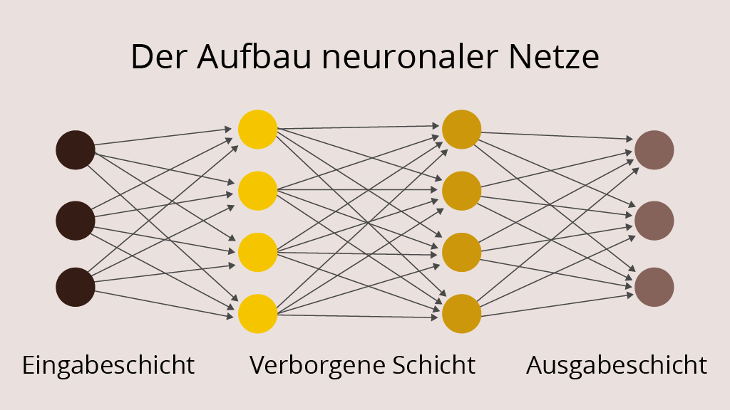 Der Aufbau neuronaler Netze