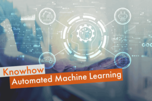Automated Machine Learning