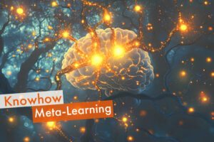 Gehirn als Symbol für Meta-Learning