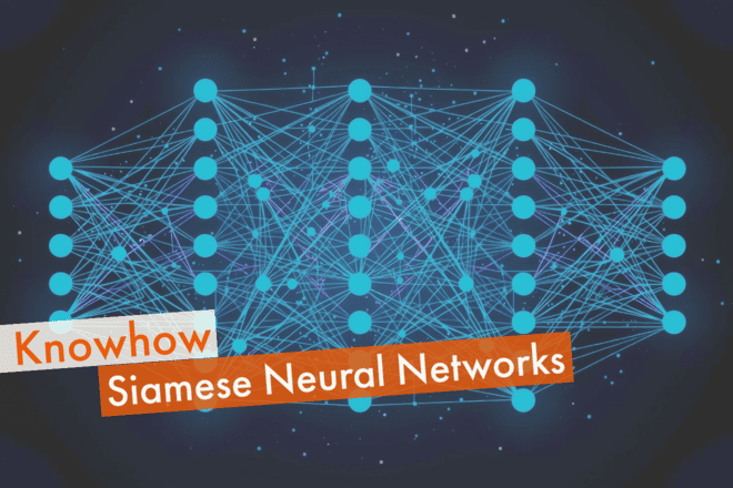 Siamese Neural Networks