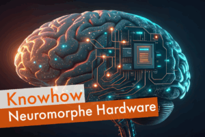 neuromorphe Hardware, künstliches Gehirn