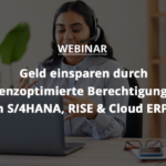 Geld einsparen durch lizenzoptimierte Berechtigungen in S/4HANA, RISE & Cloud ERP