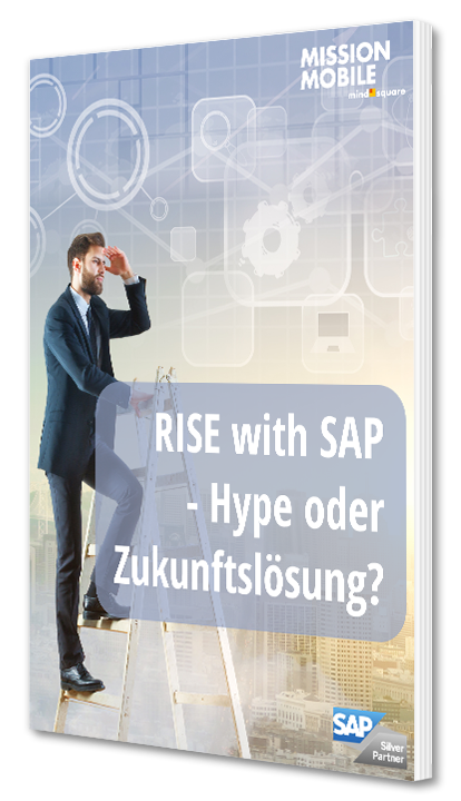 E-Book RISE with SAP
