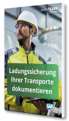 Ladungssicherung Ihrer Transporte dokumentieren [E-Book]