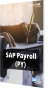 E-Book SAP Payroll PY Buchgrafik