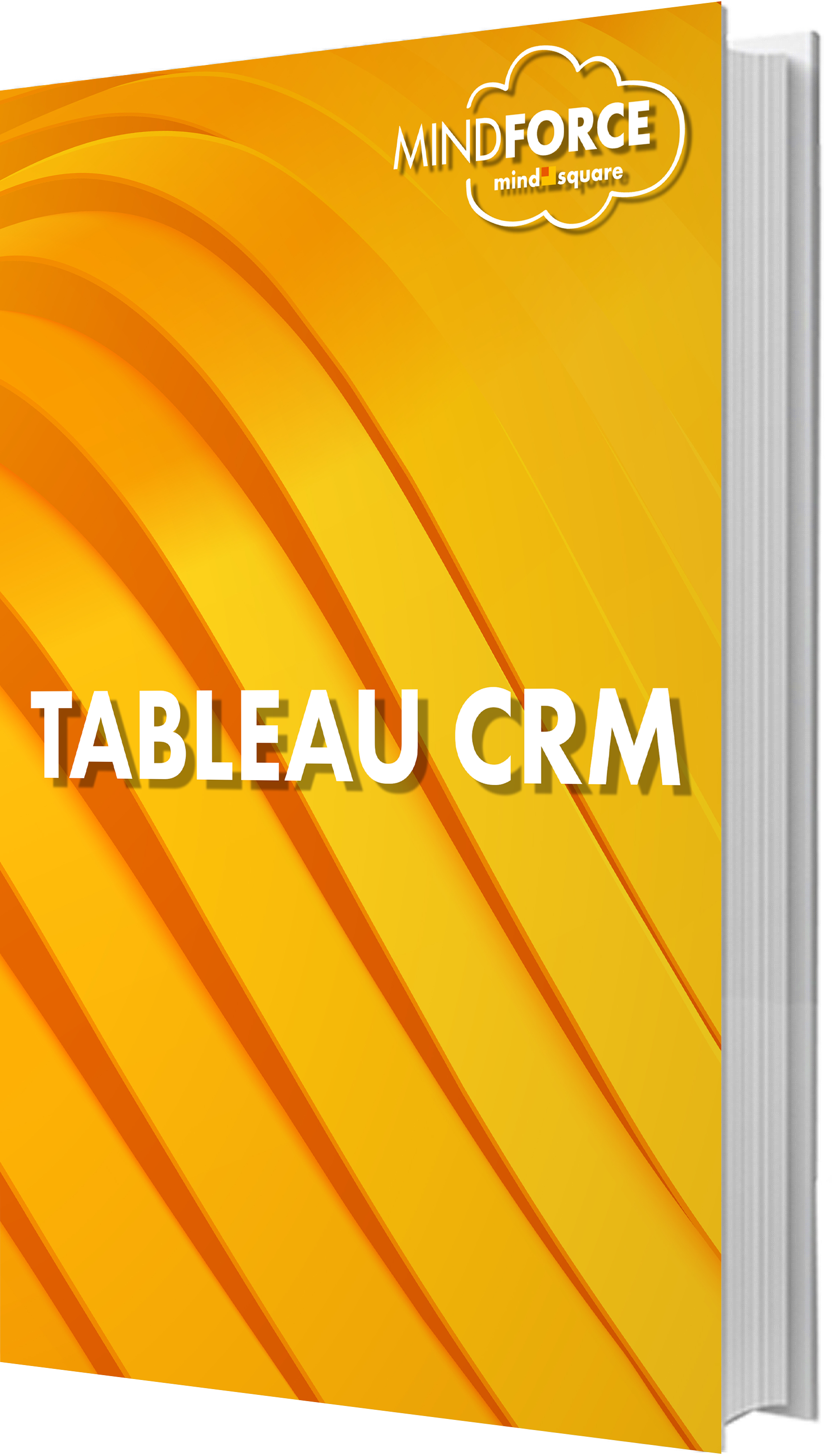 E-Book: Salesforce Tableau CRM