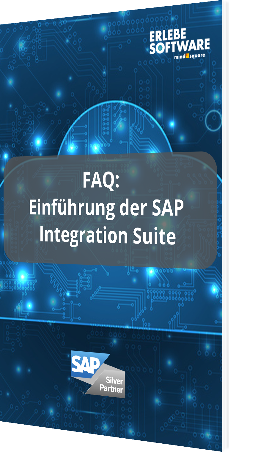 FAQ: Einführung der SAP Integration Suite