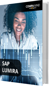 Die besten Blogartikel zum Thema SAP Lumira [E-Book]