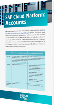 Unser Whitepaper zur SAP Cloud Platform: Accounts