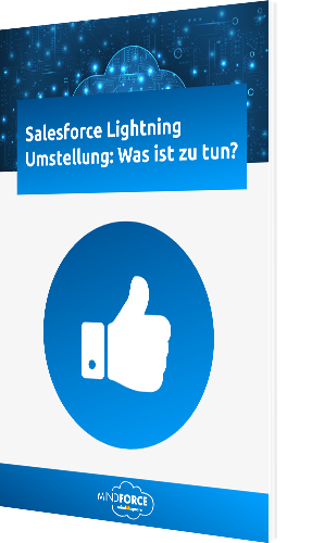 Whitepaper: Salesforce Lightning Umstellung: So geht’s!