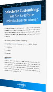 Salesforce Customizing: Wie Sie Salesforce individualisieren können