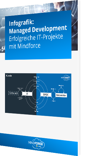 Infografik: Managed Development