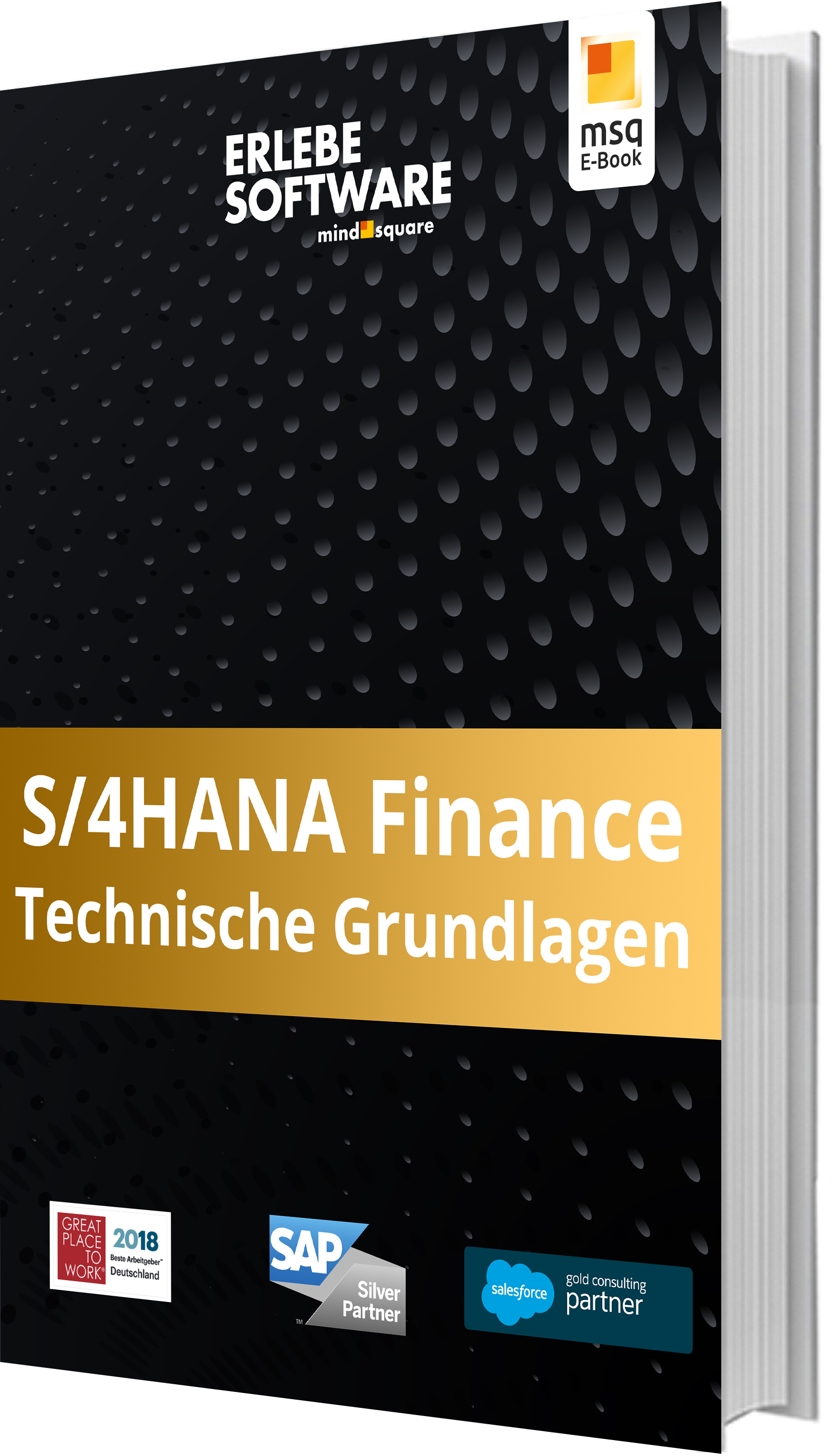 S/4HANA Finance – Technische Grundlagen