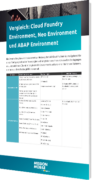 Unser Whitepaper zum Vergleich: Cloud Foundry Environment, Neo Environment und ABAP Environment