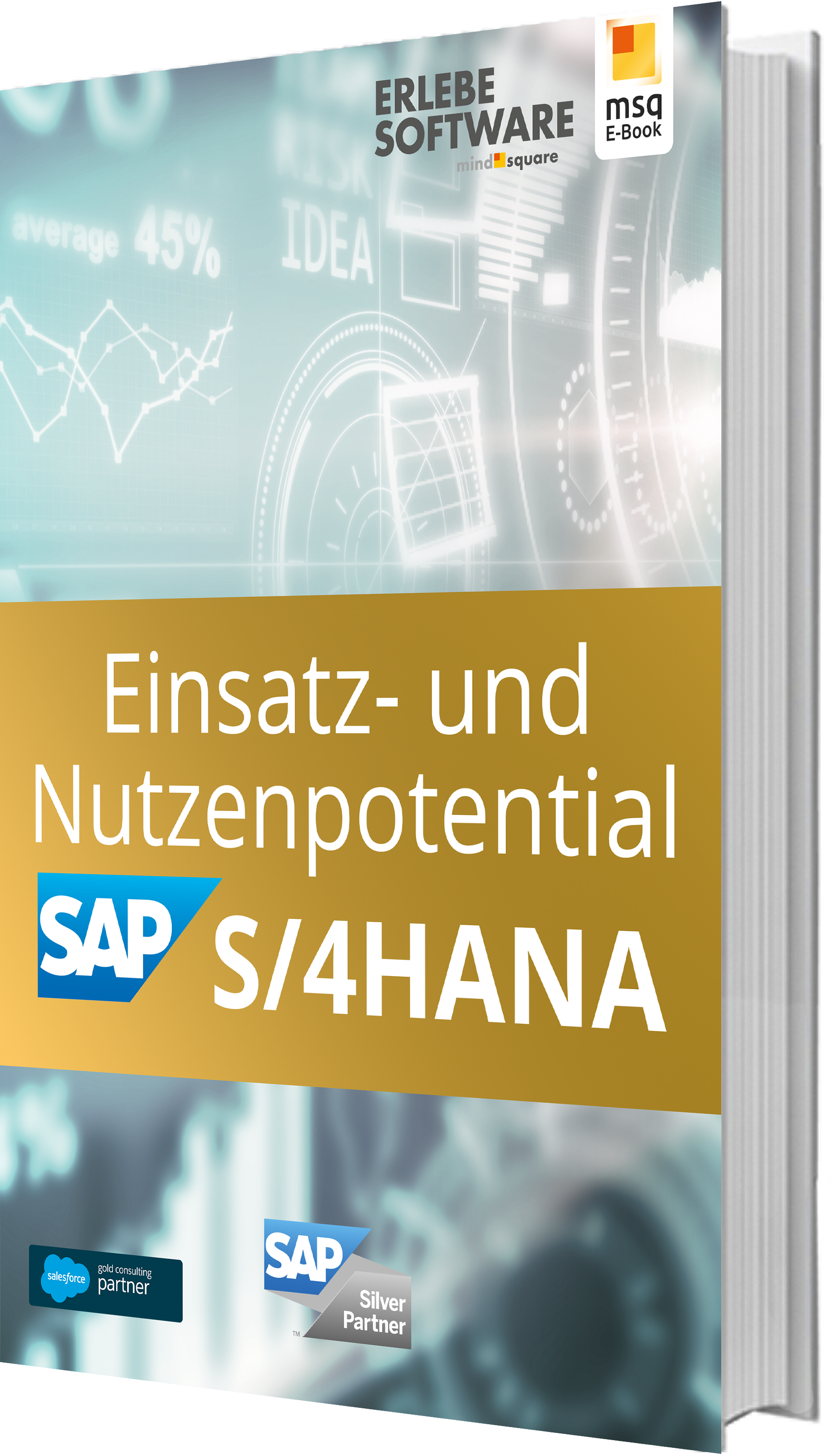 Einsatz- und Nutzenpotential von SAP S/4HANA [E-Book]