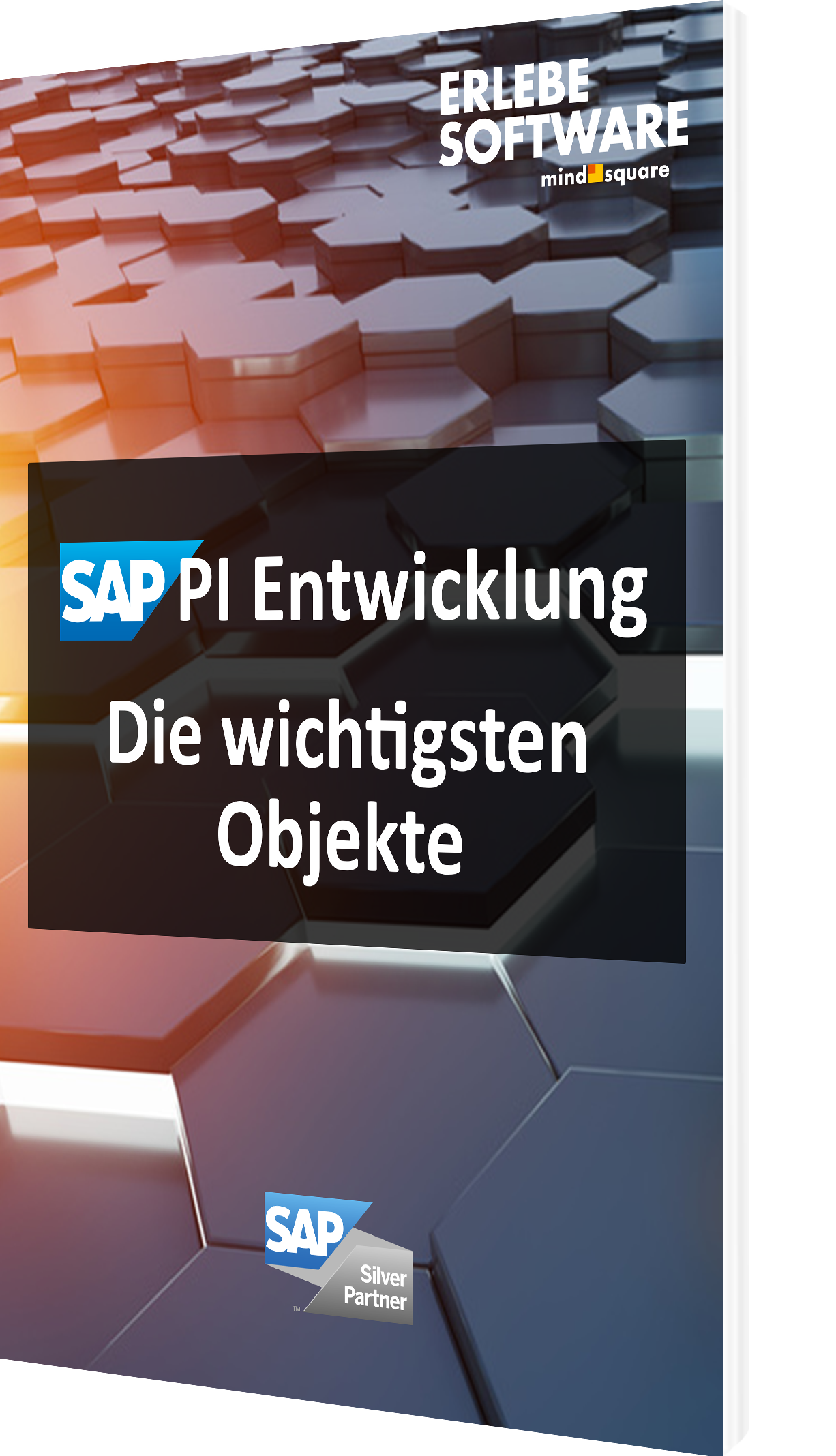 SAP PI Entwicklung