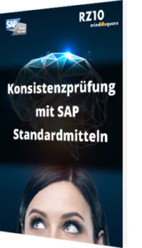 Konsistenzprüfung mit SAP Standardmitteln