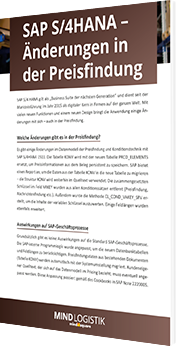 Unser Whitepaper zu SAP S/4HANA - Änderungen in der Preisfindung