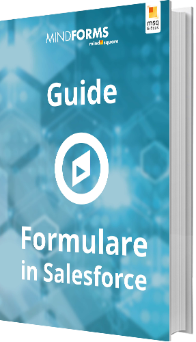 Guide: Formulare in Salesforce
