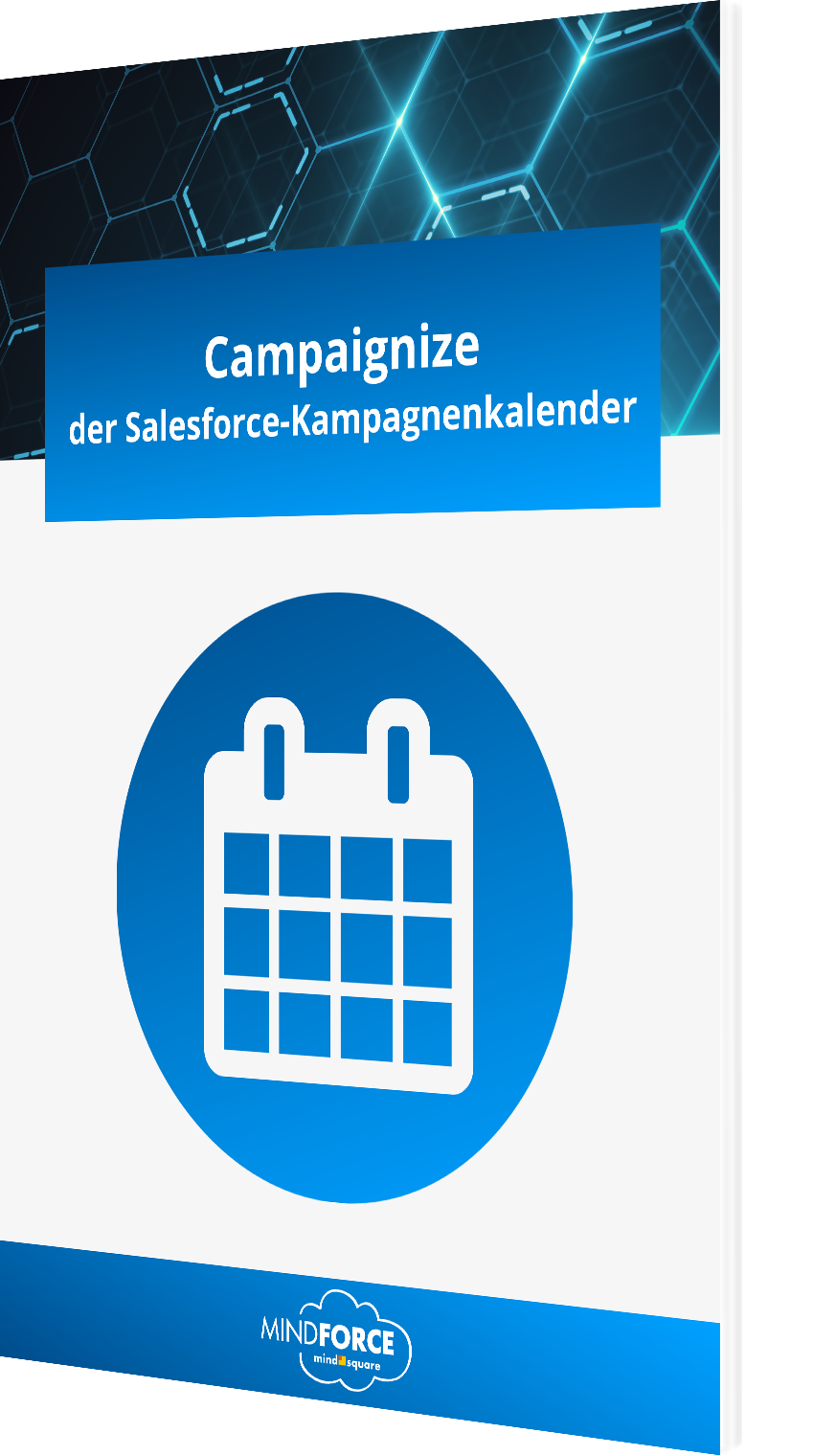 Der Salesforce Kampagnenkalender: Campaignize