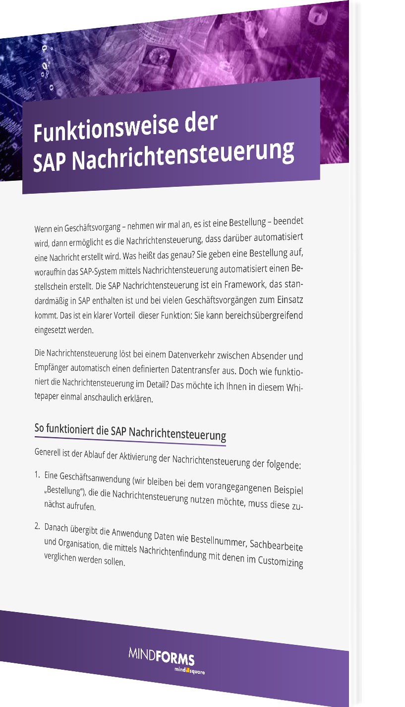 Unser Whitepaper zu den Funktionsweisen der SAP Nachrichtensteuerung