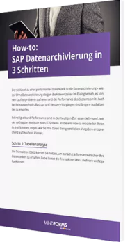 Unser Whitepaper zum Thema How to SAP Datenarchivierung in 3 Schritten