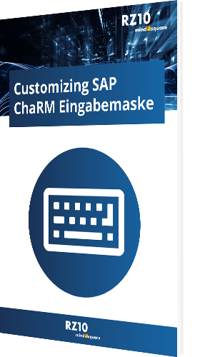 Customizing SAP ChaRM Eingabemaske