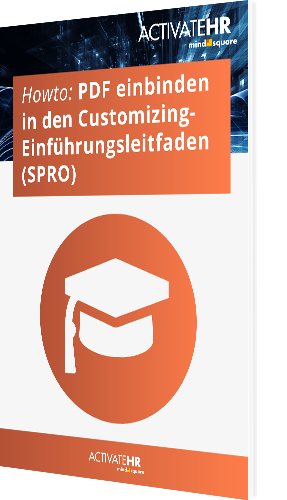 Howto: Einbinden eines PDFs in den Customizing-Einführungsleitfaden