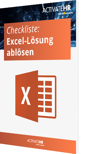 Checkliste: Excel-Lösung ablösen