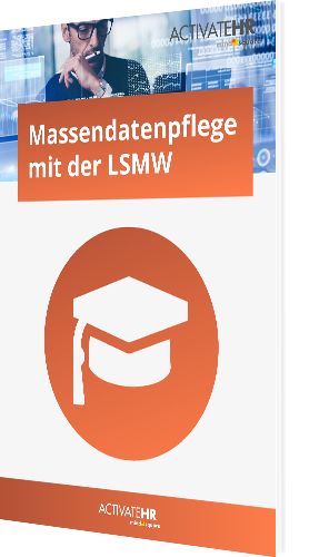 Howto: LSMW – Massendatenpflege mit der Legacy System Migration Workbench