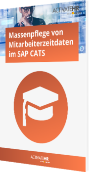 Massenpflege von Mitarbeiterzeitdaten im SAP CATS