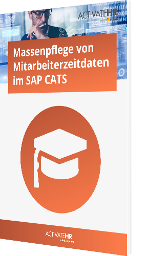 Howto: Massenpflege von Mitarbeiterzeitdaten im SAP CATS