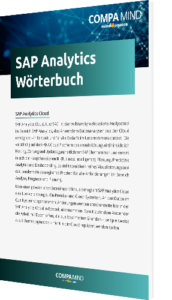 Unser Whitepaper zum SAP Analytics Wörterbuch