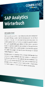 Unser Whitepaper zum SAP Analytics Wörterbuch