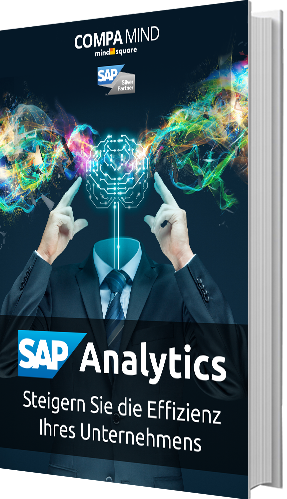 E-Book: SAP Analytics | Effizienz im Unternehmen steigern