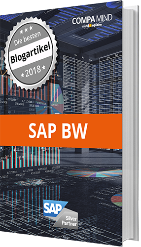 Die besten Blogartikel zum Thema SAP BW [E-Book]