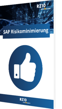 SAP Risikominimierung