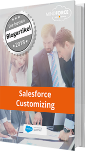 E-Book: Die besten Blogbeiträge zu Salesforce Customizing