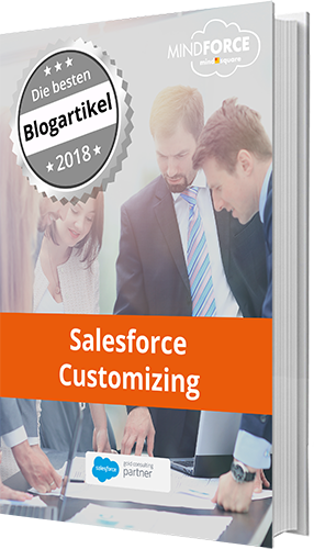 E-Book: Die besten Blogbeiträge zu Salesforce Customizing