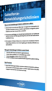 Whitepaper Salesforce Entwicklungsrichtlinien