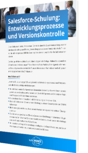 Whitepaper: Entwicklungsprozesse und Versionskontrolle