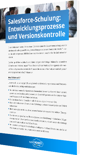 Whitepaper: Entwicklungsprozesse und Versionskontrolle