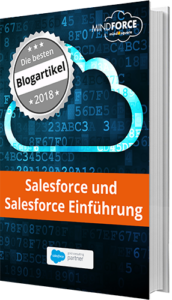 Salesforce und Salesforce Einführung