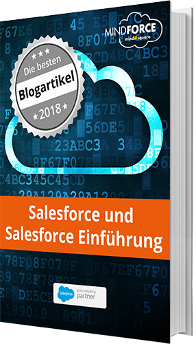 E-Book: Die besten Blogbeiträge zu Salesforce und Salesforce Einführung