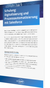 Whitepaper: Schulung zur Digitalisierung und Prozessautomatisierung mit Salesforce