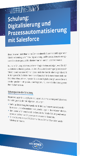 Whitepaper: Schulung zur Digitalisierung und Prozess­automatisierung mit Salesforce