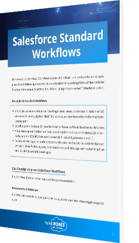 Salesforce Standard Workflows